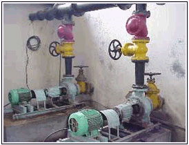 Sludge Recirculation Pumps ( 3 Nos. )