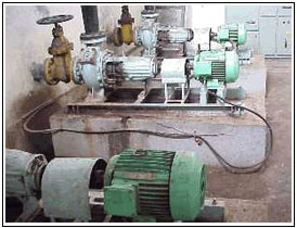 Sludge Recirculation Pumps ( 3 Nos. )>
	</tr>
	<tr><td colspan=